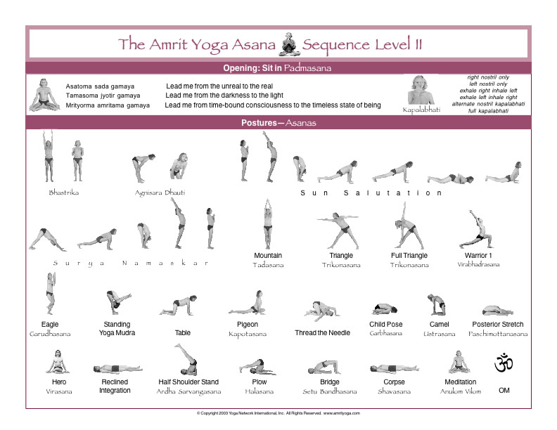 Teacher Training - Integrative Amrit Method of Yoga: Level 1 Sequence Chart